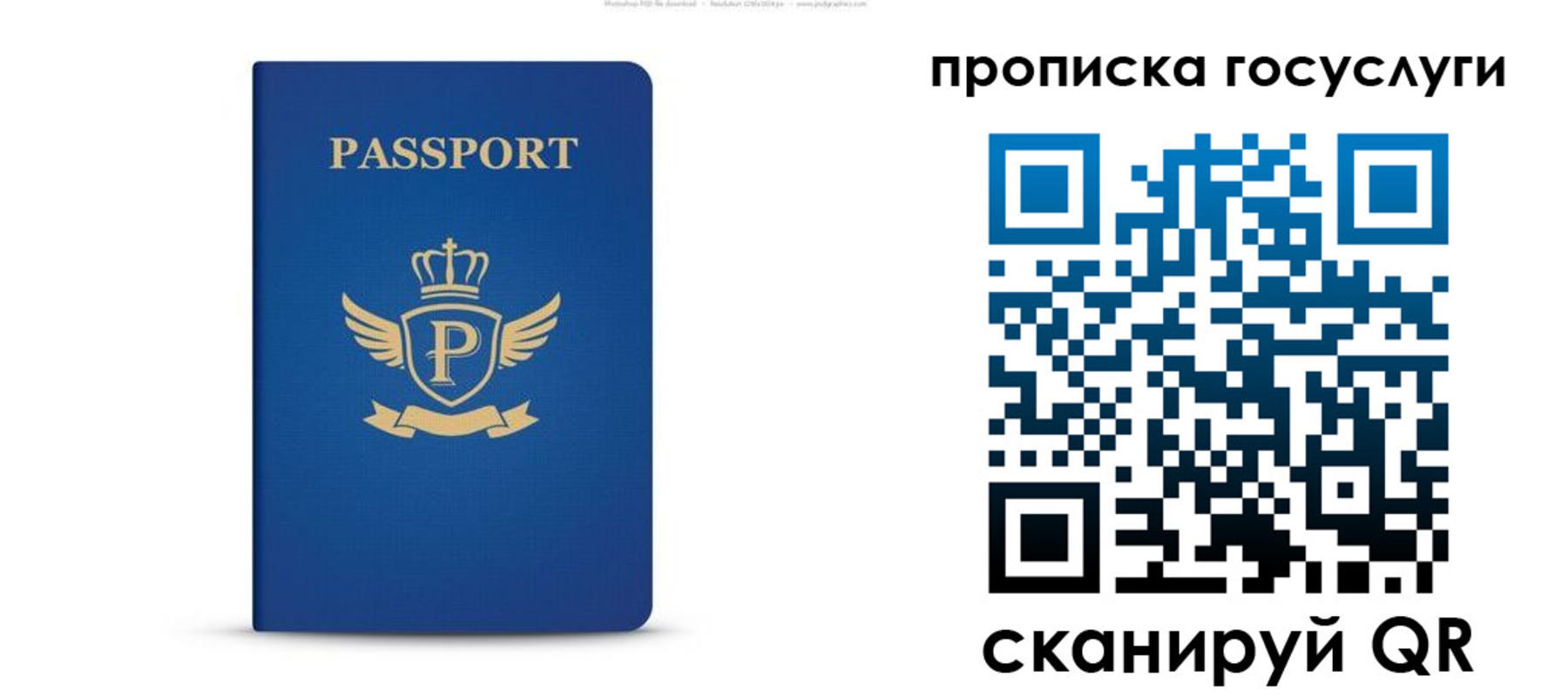 прописка для школы в Грязях